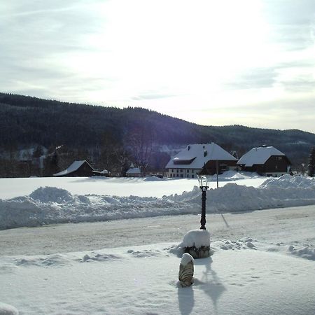 Hotel Rheingold Garni Titisee-Neustadt Exteriör bild