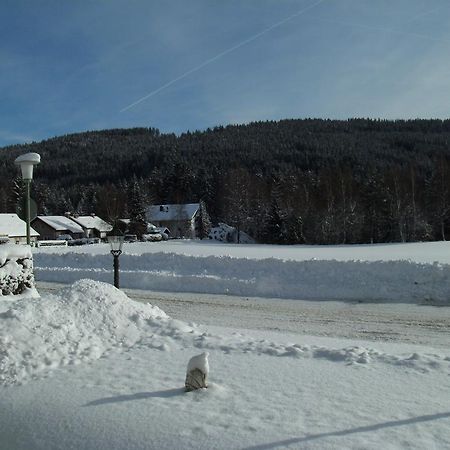 Hotel Rheingold Garni Titisee-Neustadt Exteriör bild