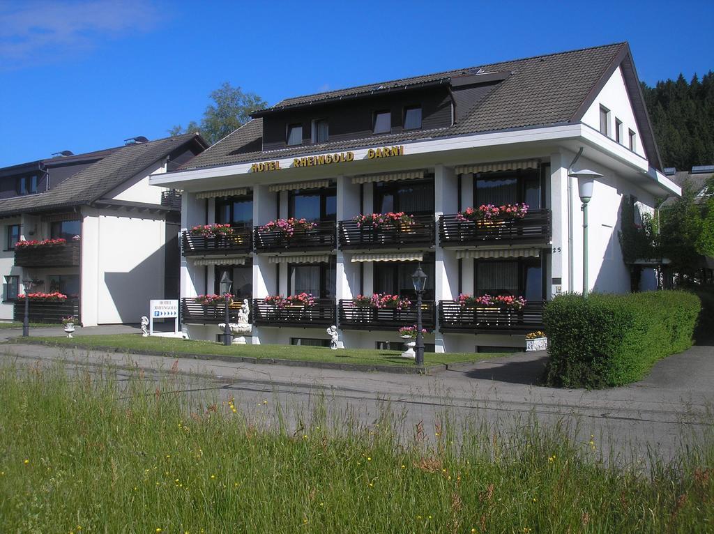 Hotel Rheingold Garni Titisee-Neustadt Exteriör bild