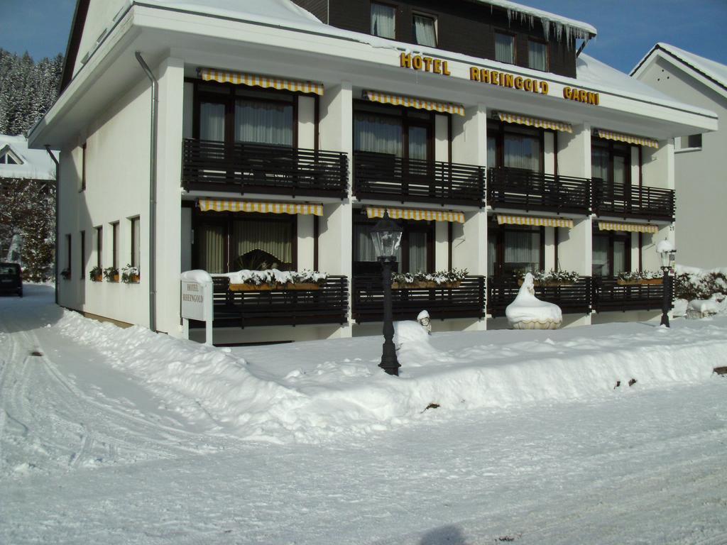 Hotel Rheingold Garni Titisee-Neustadt Exteriör bild