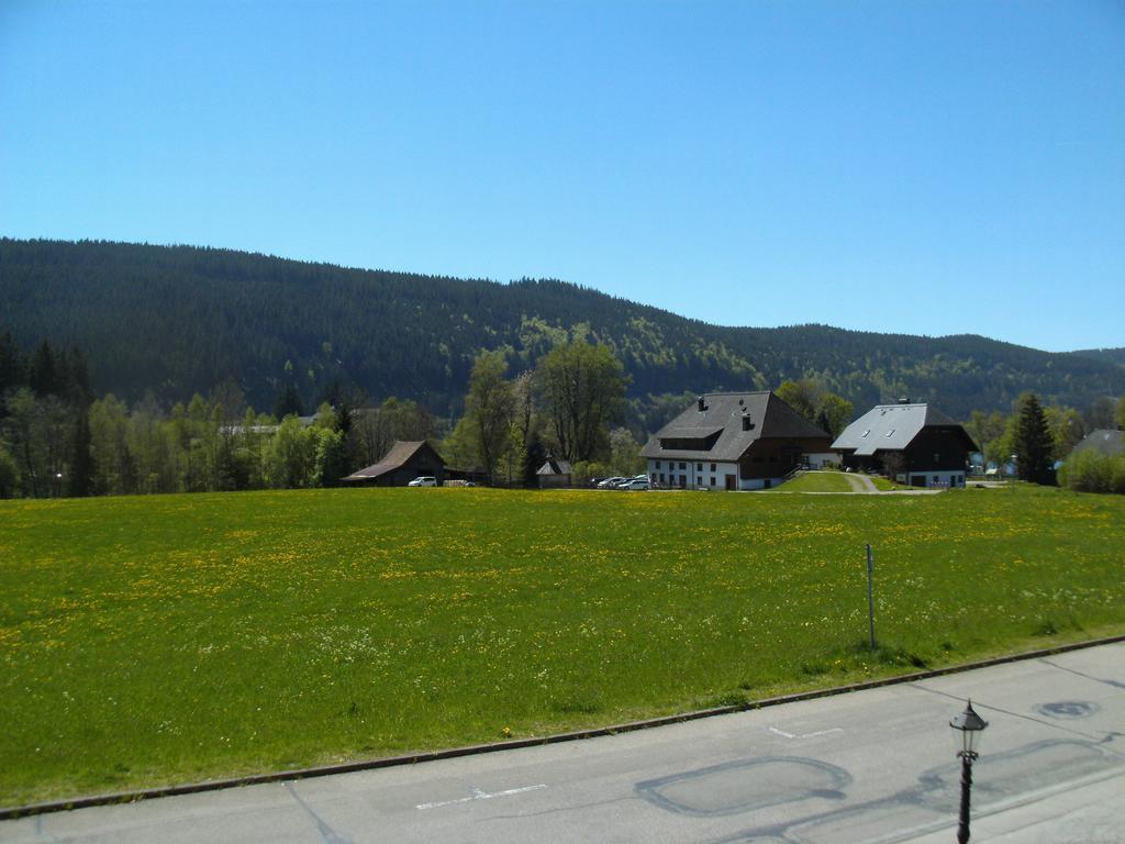 Hotel Rheingold Garni Titisee-Neustadt Exteriör bild