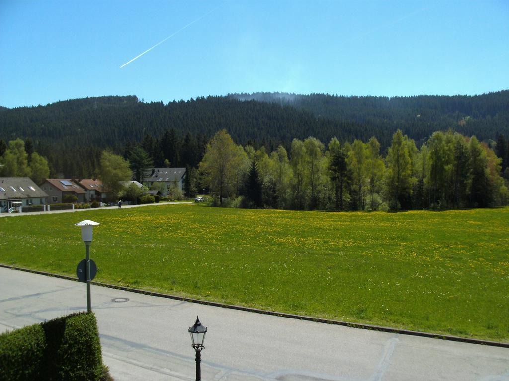 Hotel Rheingold Garni Titisee-Neustadt Exteriör bild