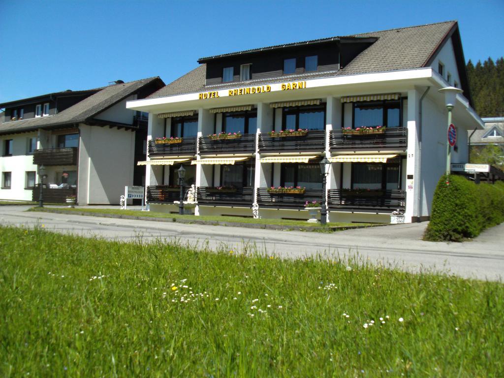 Hotel Rheingold Garni Titisee-Neustadt Exteriör bild