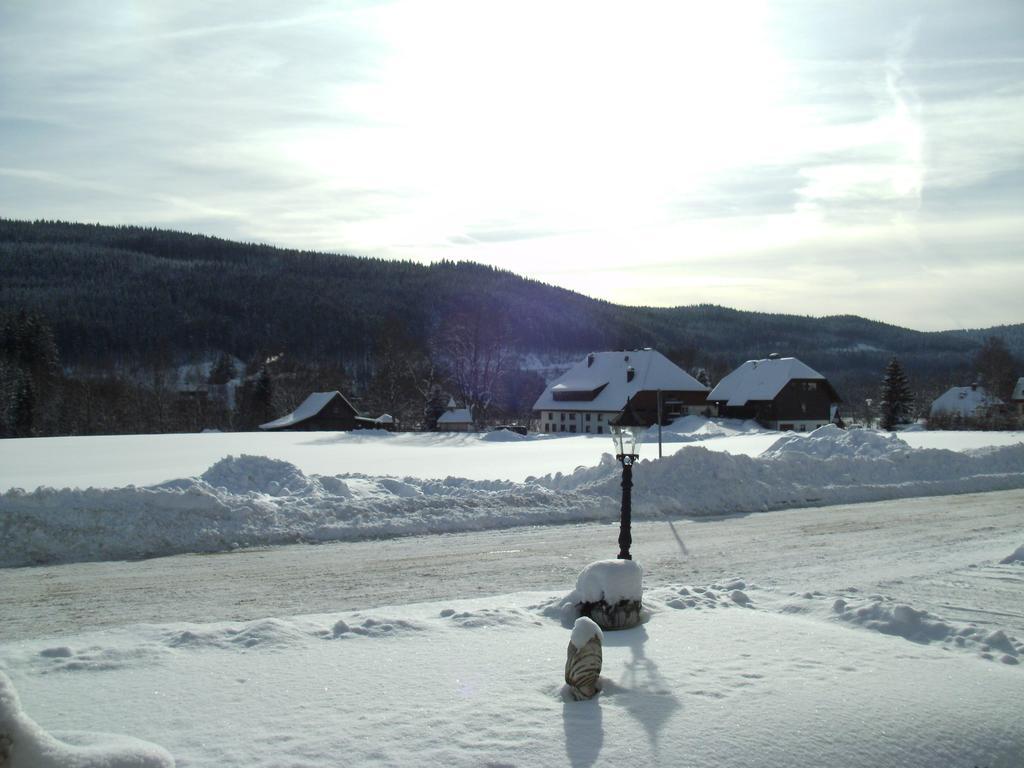 Hotel Rheingold Garni Titisee-Neustadt Exteriör bild