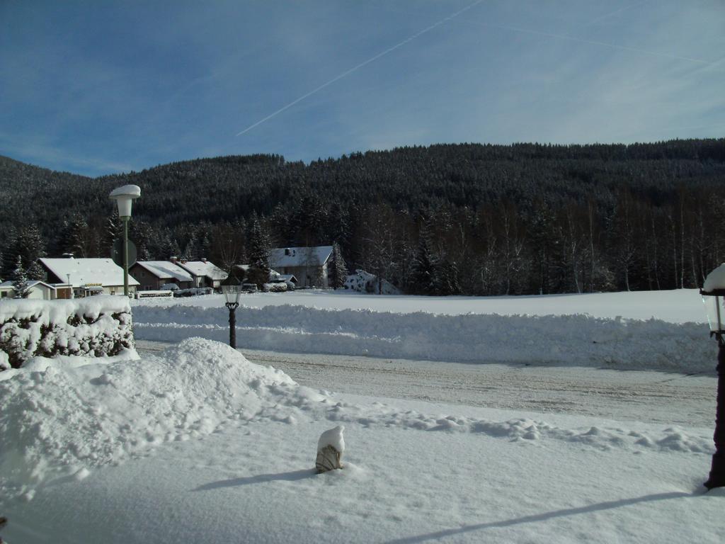 Hotel Rheingold Garni Titisee-Neustadt Exteriör bild