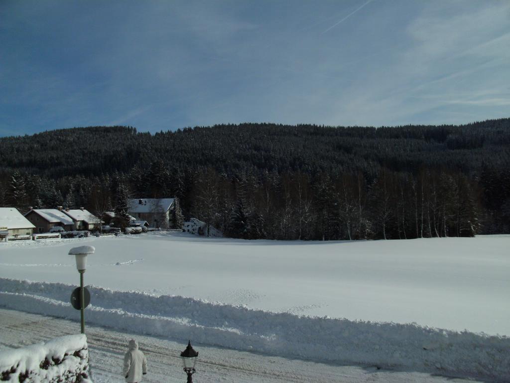 Hotel Rheingold Garni Titisee-Neustadt Exteriör bild